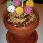 Chocolate cake flowerpot 
